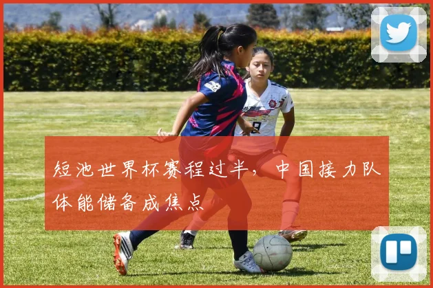 短池世界杯赛程过半,中国接力队体能储备成焦点