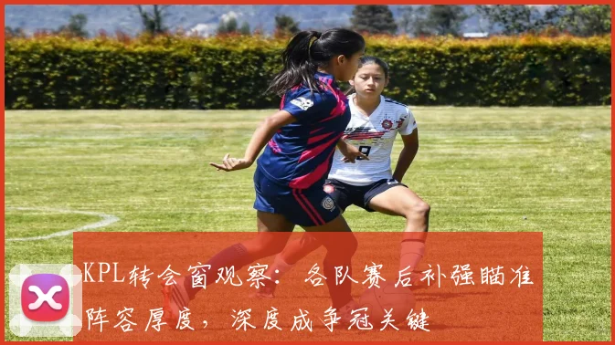 KPL转会窗观察:各队赛后补强瞄准阵容厚度,深度成争冠关键