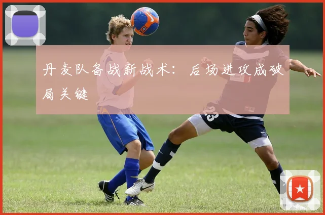 丹麦队备战新战术:后场进攻成破局关键